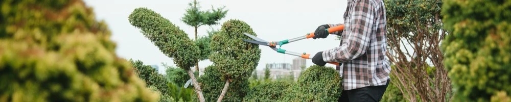 Exterior maintenance
